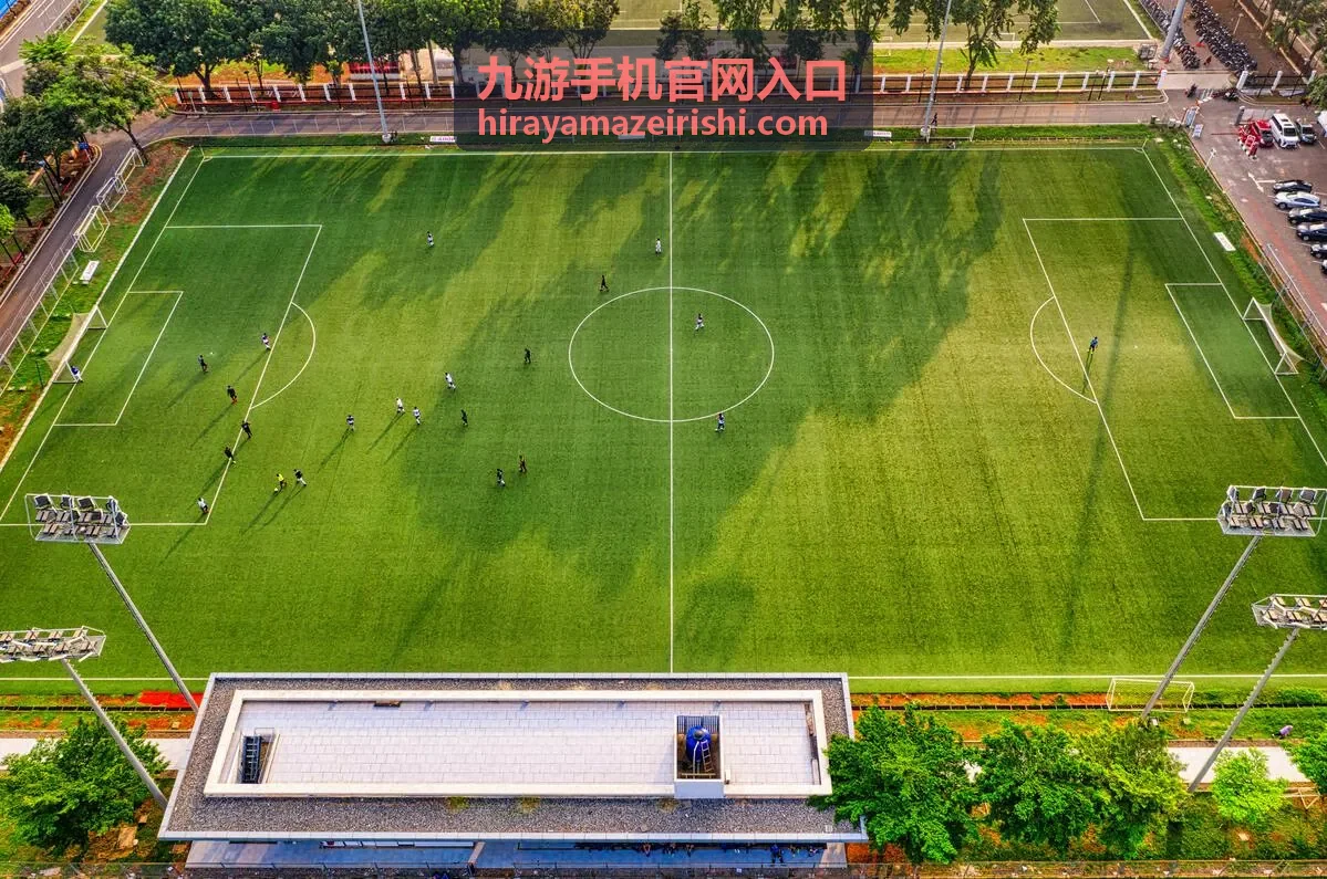 九游手机官网入口手机端访问步骤示意封面