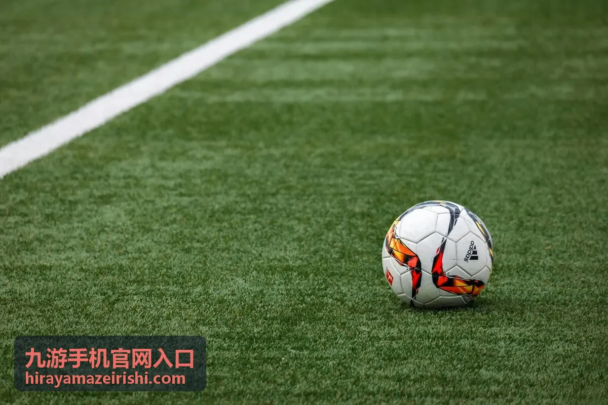 九游手机官网入口页面提示信息对照与处理方式说明